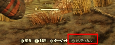 VATS クリティカル