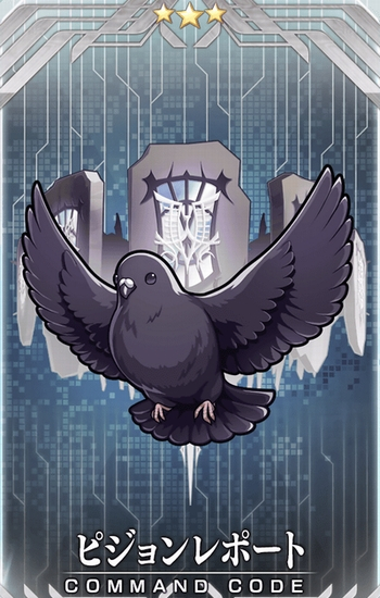 ピジョンレポート
