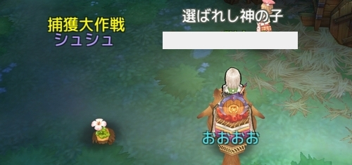 捕獲大作戦 進まない