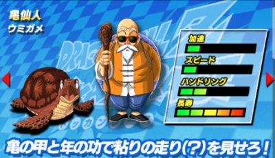 亀仙人(ウミガメ)
