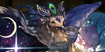 sachan